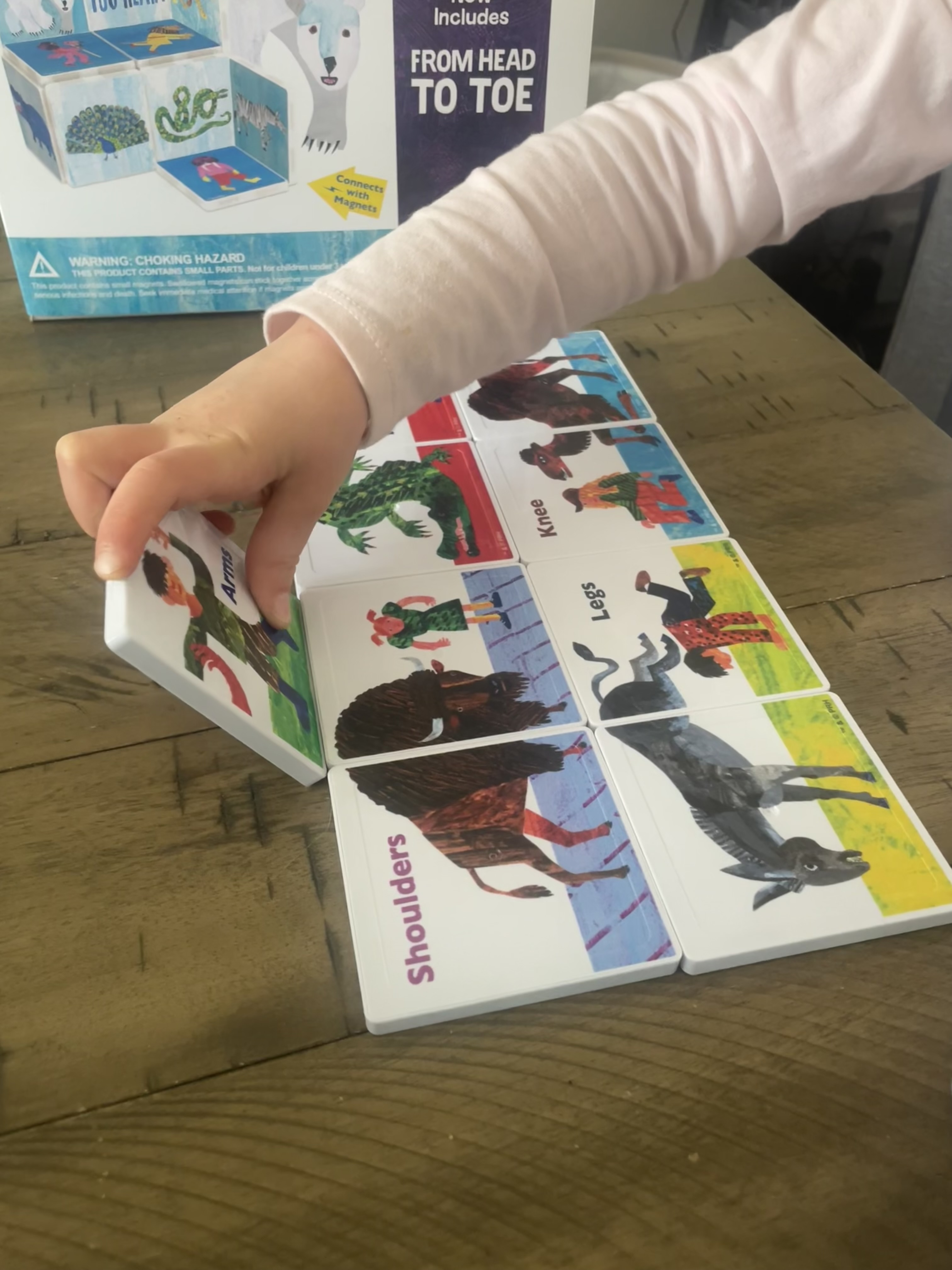 Eric Carle Magnetic Tile Structure Sets | CreateOn