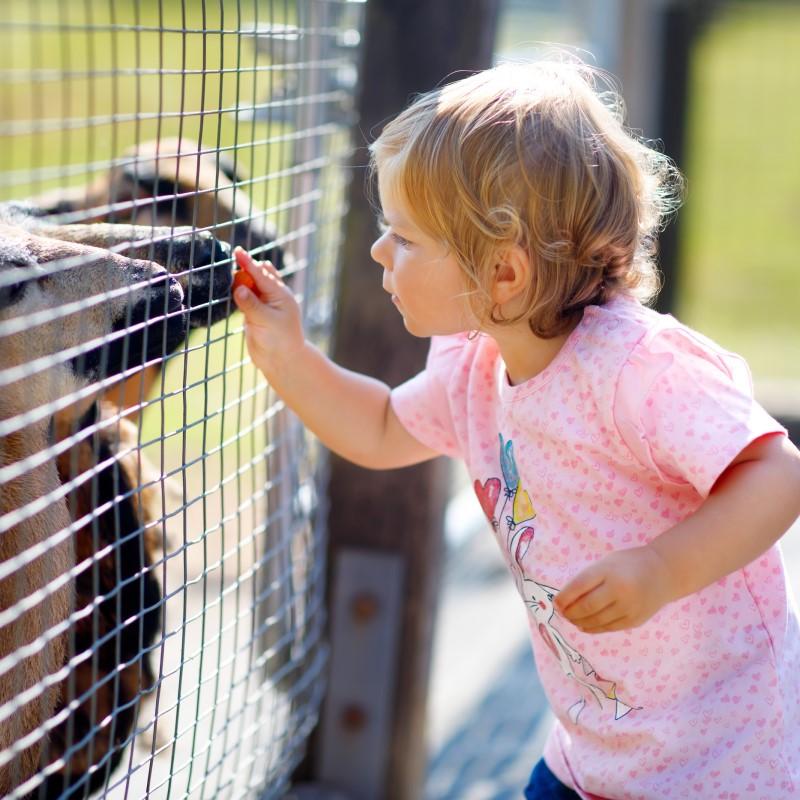 Why Moo, Oink And Neigh Are Still Important