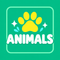 Animal Magnetic Tile & Qubee Sets
