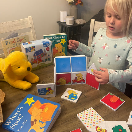 Fun With Spot Magnetic Tile Set 24Pc