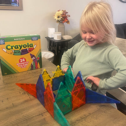 Crayola Bold Magnetic Tiles 24-Piece Set