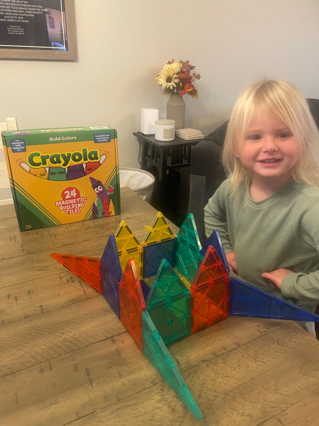 Crayola Bold Magnetic Tiles 24-Piece Set