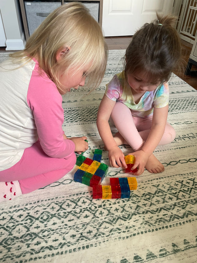 Crayola Bold & Bright Magnetic Pip Cubes 24-Piece Set
