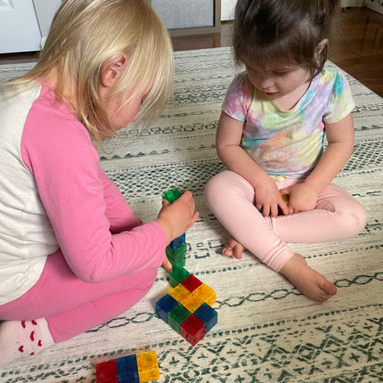 Crayola Bold & Bright Magnetic Pip Cubes 24-Piece Set