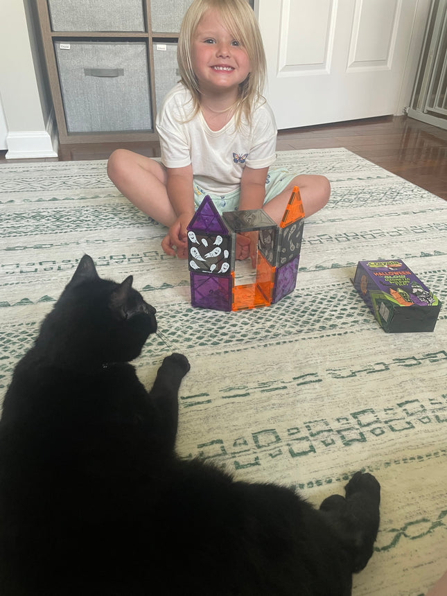 Crayola Halloween Glow Magentic Tiles 14Pc