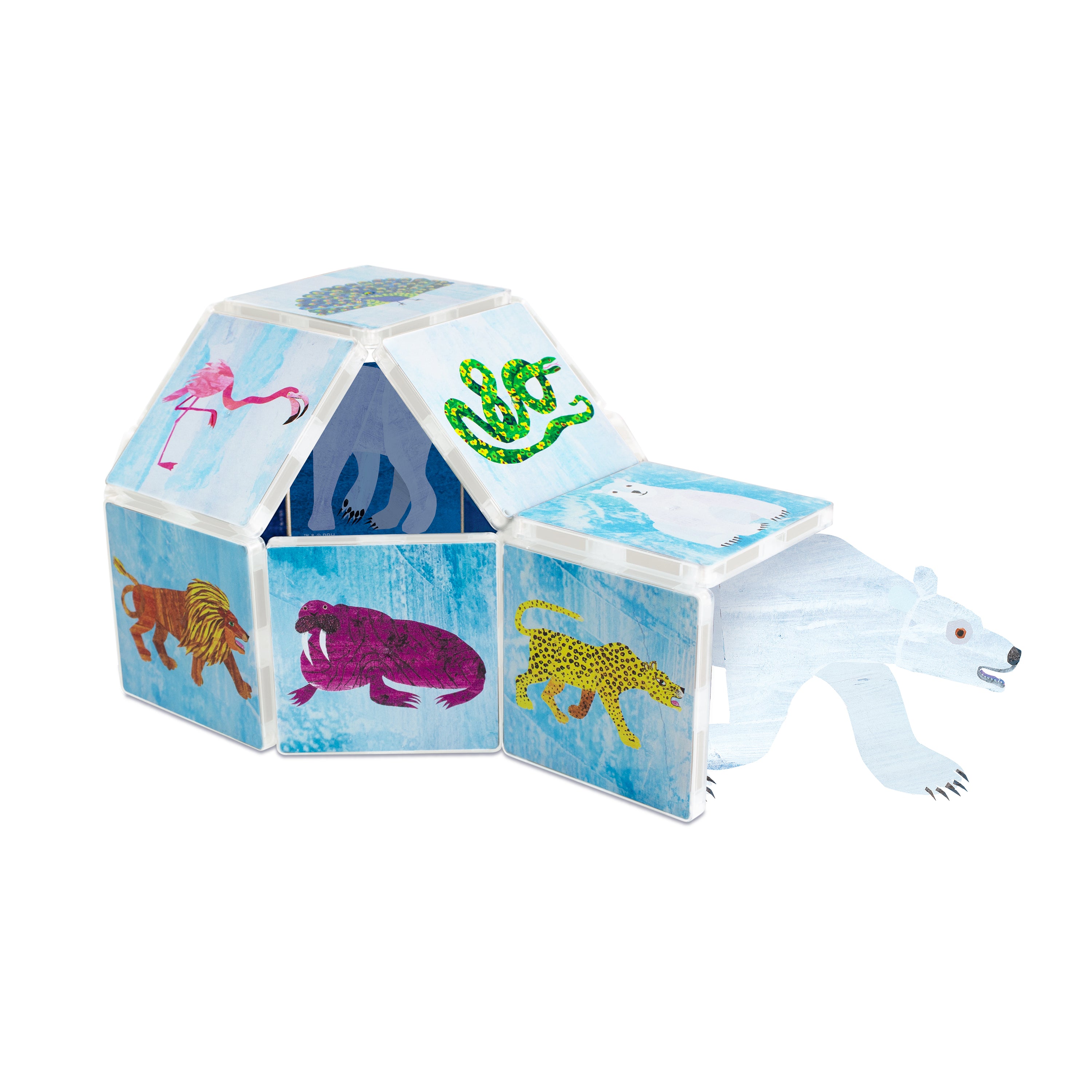Eric Carle Polar Bear With From Head To Toe Bonus Set 24 Piece