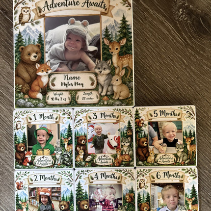 Woodland Babys first Year Photo Set
