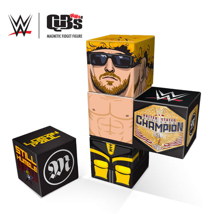 WWE Logan Paul Qubee Magnetic Fidget Figure