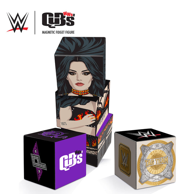 WWE Paige Qubee Magnetic Fidget Figure